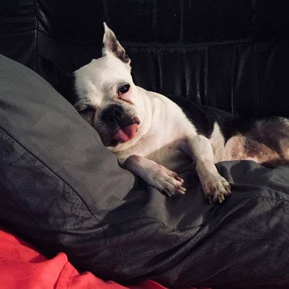 Meet your Posher, Crystal - Picture 2 of 5